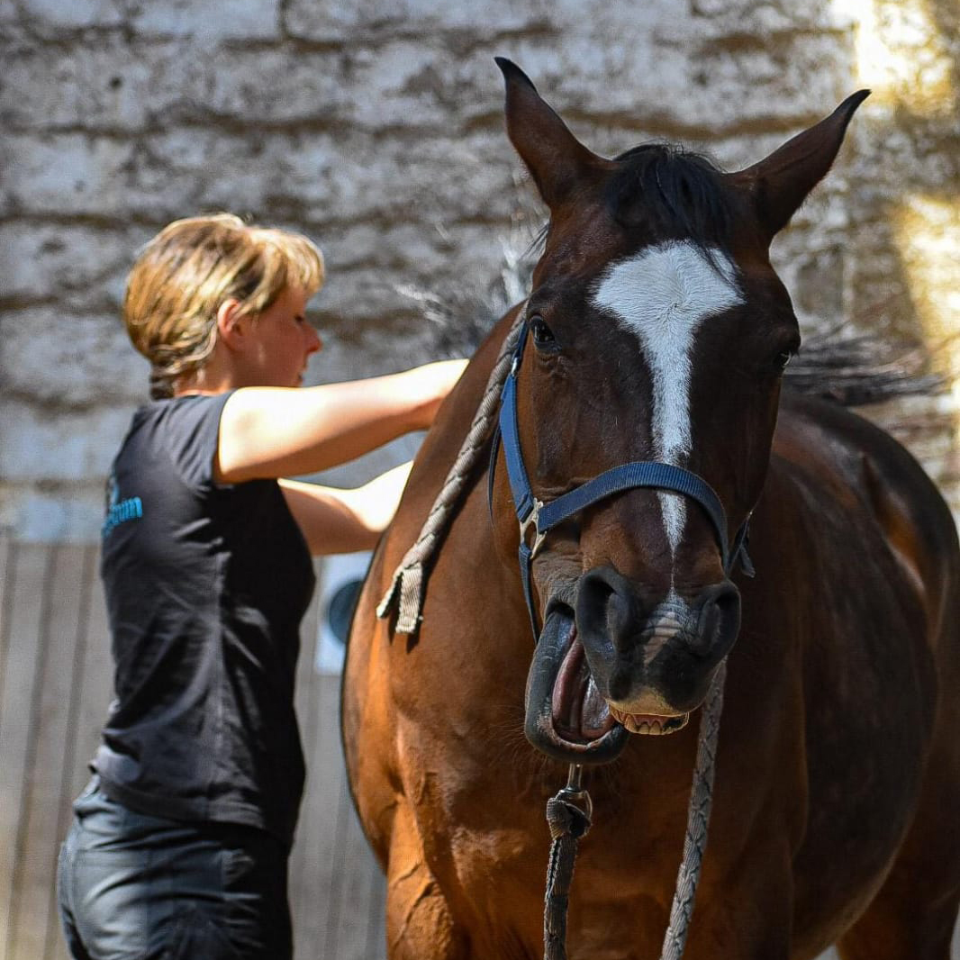 Jennifer Bergström mit Pferd