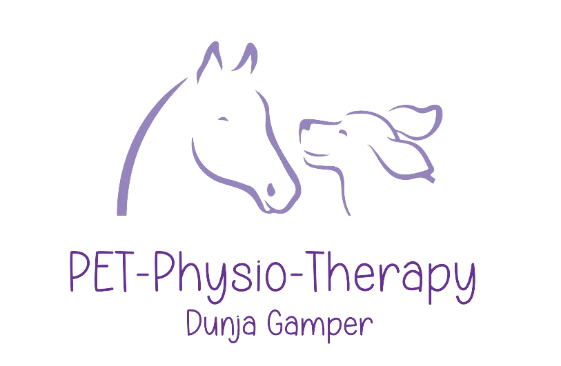 PET-Physio_Therapie Gamper